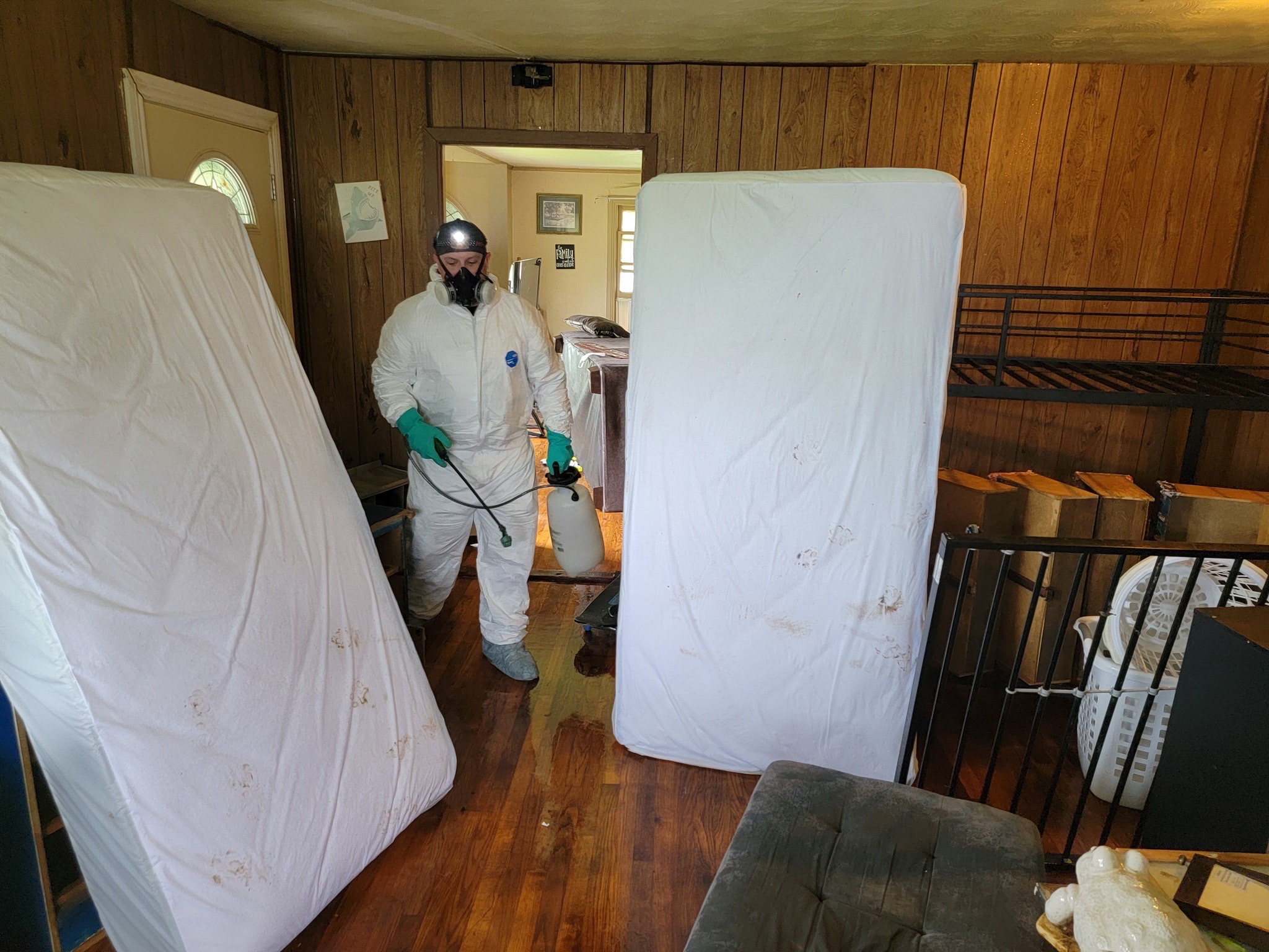 Bed Bug Control & Removal Ennis, Waxahachie & Midlothian, TX